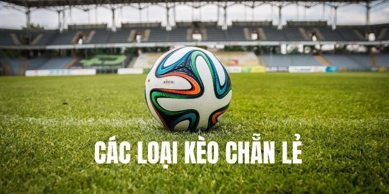 Có đa dạng hình thức đặt cược kèo lẻ/ chẵn khác nhau